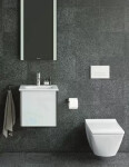 DURAVIT - Viu Závěsné WC, Rimless, HygieneGlaze, bílá 2511092000