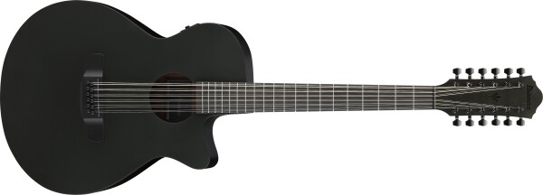 Ibanez AEG1221-BOT
