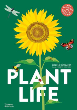 Plant Life - Hélene Druvert