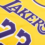 Nike Dětský dres Los Angeles Lakers NBA LeBron James #23 Swingman Žlutá (YOUTH)