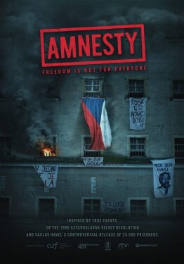 Amnestie DVD