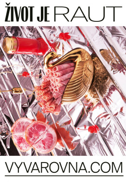 Život je raut - Daniela Hannová