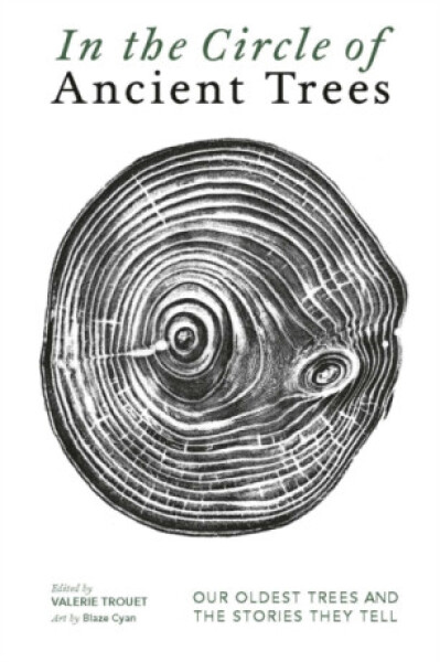 In The Circle of Ancient Trees