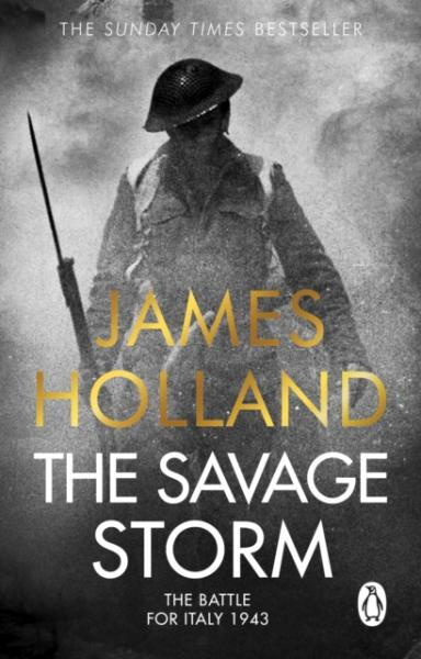 Savage Storm - James Holland