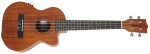 Tanglewood TWT 17 E (rozbalené)