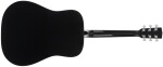 Cort Earth 60 BK