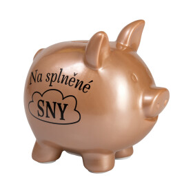 Prasátková pokladnička - Na splněné sny - Albi