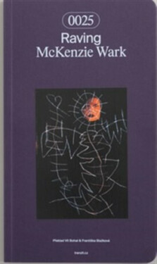 Raving - McKenzie Wark