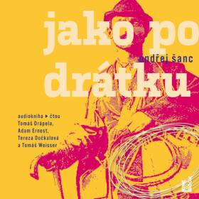 Jako po drátku - Ondřej Šanc - audiokniha