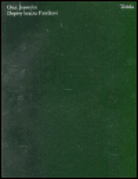 Dopisy bratru Patrikovi - Otec Jeroným