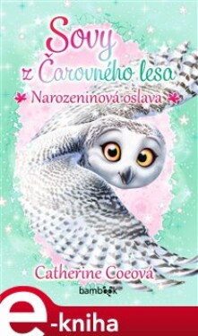 Sovy Čarovného lesa Narozeninová oslava