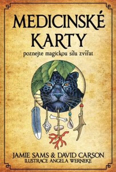 Medicinské karty (Kniha 52 karet) David Carson