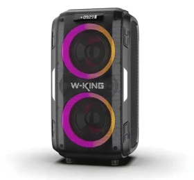 W-KING T9 Pro černá / Přenosný reproduktor / 120W / Bluetooth 5.0 / RGB podsvícení (T9PRO-BLK)