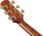 Ibanez AAD381CE NT