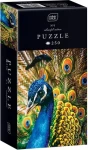 INTERDRUK Puzzle Colorful Nature: Páv