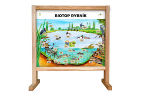 Stolní biotop s magnety - Rybník