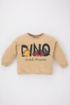 DEFACTO Baby Boy Crew Neck Dinosaur Printed Soft Feathered Inner Sweatshirt