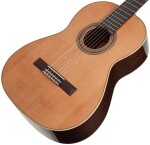 Ortega R19G
