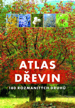 Atlas dřevin - Aleksandra Halarewicz
