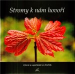 Stromy k nám hovoří - Ivo Stehlík