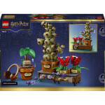 LEGO LEGO® Harry Potter™ 76474 Rostliny z hodiny bylinkářství v Bradavicích