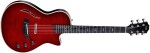 Taylor T5z Pro Cayenne Red Armrest