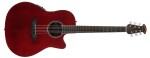 Ovation CS24-RR