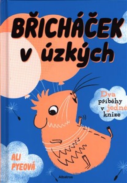 Břicháček úzkých Ali