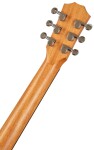 Taylor TS-BT