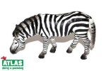 Zebra 11 cm,