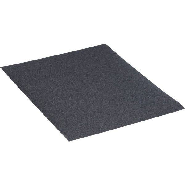 Rhodius WSP 301009 brusný papír Zrnitost 220 (š x v x h) 230 x 1 x 280 mm 50 ks