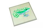 Moyo Montessori Moyo Montessori Puzzle s kostrou - žába