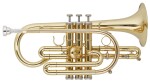 Getzen 800 Eterna