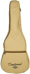Tanglewood TR2