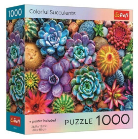 Puzzle Barevné sukulenty 1000 dílků