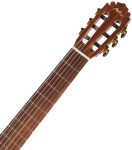 Manuel Rodriguez Café Cortado Cutaway Santos Rosewood