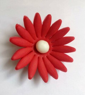 Dortisimo Cukrová sedmikráska velká červená (9 ks)