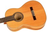 Ortega R20GRG-L