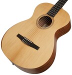 Taylor Academy 12e-N LTD