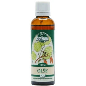 Olše lepkavá (P36)