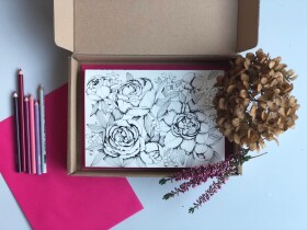 Sada přání v dárkové krabičce, antistresové omalovánky, Petra Gescheidtová