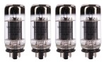 Sovtek 5881/6L6WGC QUAD