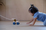 PlanToys PlanToys Tahací a strkací štěně