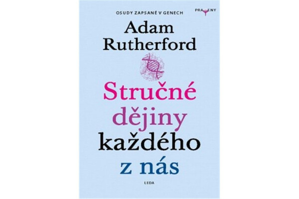 Stručné dějiny každého nás