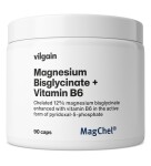 Vilgain Hořčík bisglycinát + B6 – 90 kapslí
