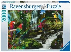 RAVENSBURGER Barevní papoušci v džungli 2000 dílků