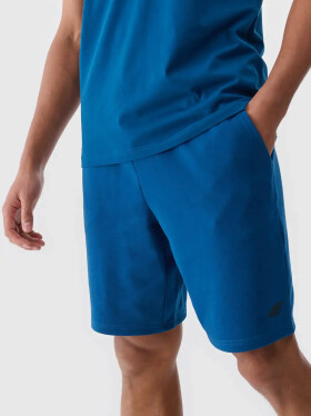 Pánské kraťasy 4F Velikost: XL