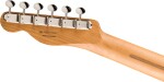 Fender LE Player II Telecaster RW MLD
