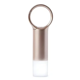 Lexon Nomaday Flash LL137D zlatá / LED klíčenka / IPX4 / USB-C (LL137D)