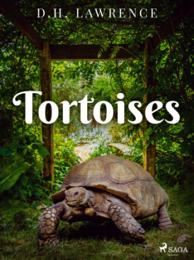 Tortoises - David Herbert Lawrence - e-kniha